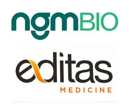 NGM Bio, Editas Shift Priorities, Seek Partners on Ophthalmic Programs
